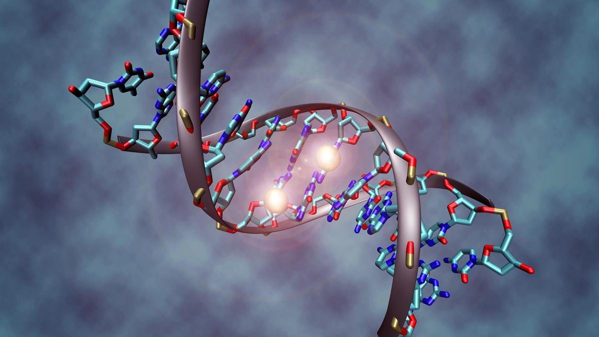 DNA_methylation.jpg